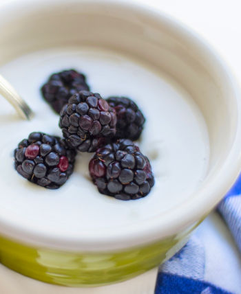 Picture Of a bowl with yogurt and blackberries