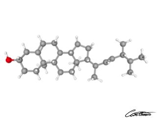 A three-dimensional representation of Brassicasterol