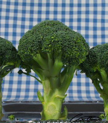 Care Omnia broccolis standing on a silver plate