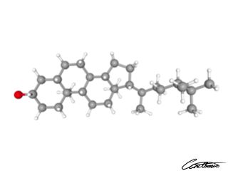 A three-dimensional representation of Campestanol