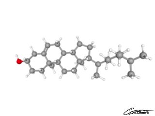 A three-dimensional representation of Campesterol