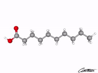 A three-dimensional representation of Capric acid (10:0)