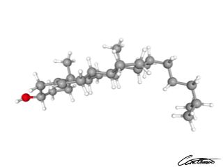 A three-dimensional representation of Cholesterol