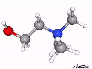 A three-dimensional representation of Choline