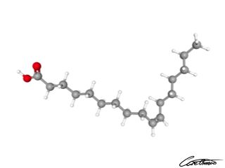 A three-dimensional representation of cis-10-heptadecenoic acid (17:1 c)