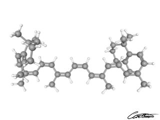 A three-dimensional representation of cis-beta-Carotene