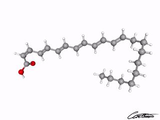 A three-dimensional representation of cis-Docosahexaenoic acid (22:6 c)