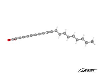 A three-dimensional representation of cis-Eicosatetraenoic acid (20:4 c)