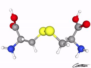 A three-dimensional representation of Cystine