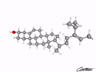 A three-dimensional representation of delta-5-Avenasterol