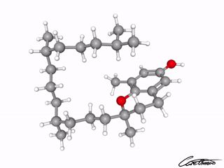 A three-dimensional representation of delta-Tocopherol