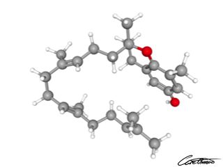 A three-dimensional representation of delta-Tocotrienol