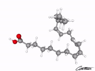 A three-dimensional representation of dihomo-gamma-Linolenic acid (20:3 n-6)