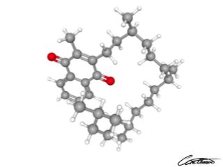 A three-dimensional representation of Dihydrophylloquinone