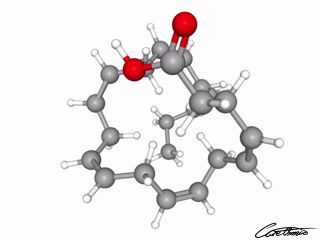 A three-dimensional representation of Docosahexaenoic acid, DHA (22:6 n-3)