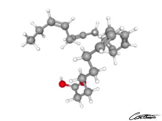 A three-dimensional representation of Docosapentaenoic acid, DPA (22:5 n-3)