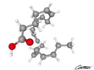 A three-dimensional representation of Eicosapentaenoic acid, EPA (20:5 n-3)