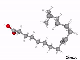 A three-dimensional representation of Elaidic acid (18:1 t)