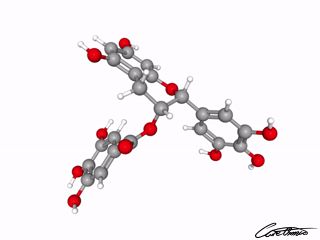 A three-dimensional representation of Epigallocatechin 3 Gallate