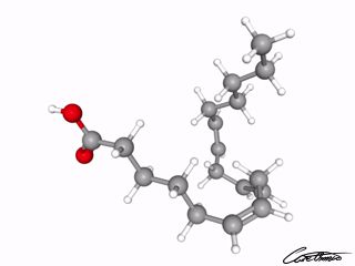 A three-dimensional representation of gamma-Linolenic acid, GLA (18:3 n-6)