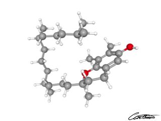 A three-dimensional representation of gamma-Tocopherol