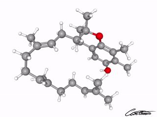 A three-dimensional representation of gamma-Tocotrienol