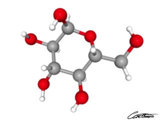 A three-dimensional representation of Glucose