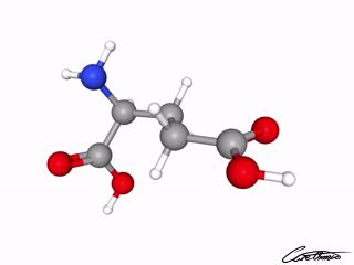 A three-dimensional representation of Glutamic acid