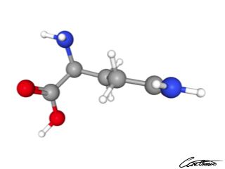 A three-dimensional representation of Glutamine