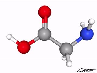 A three-dimensional representation of Glycine