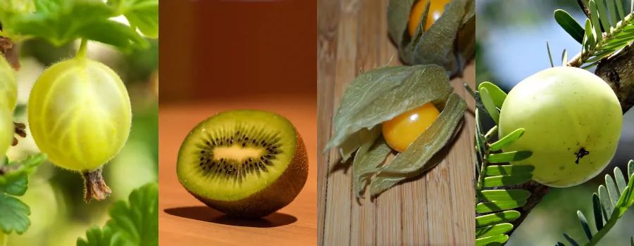 Care Omnia Gooseberry, Chinese Gooseberry (Kiwi), Cape Gooseberry (Physalis) and Indian Gooseberry (Amla)