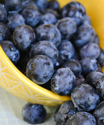 Bowl with healthy blueberries