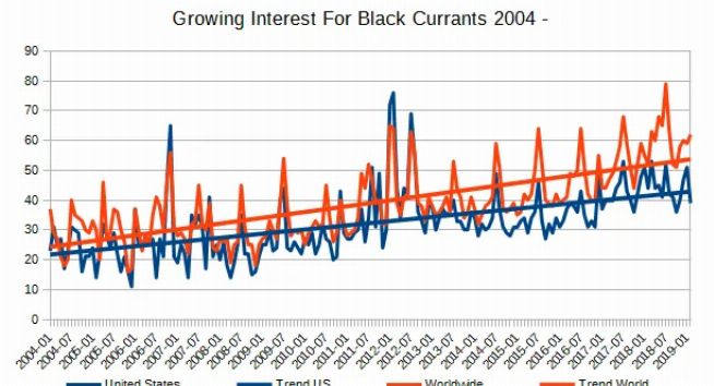 Care Omnia Chart Showing The Growing Interest For Black Currants In USA And Wordwide With The US Trend Not As Positive As Worldwide