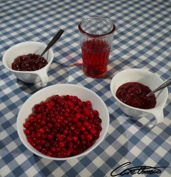 Care Omnia selection of lingonberries, frozen, juice and two jams, traditional and raw-stirred