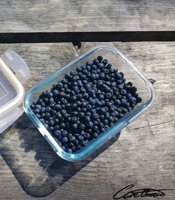 A glass jar with blueberries on a wooden bench