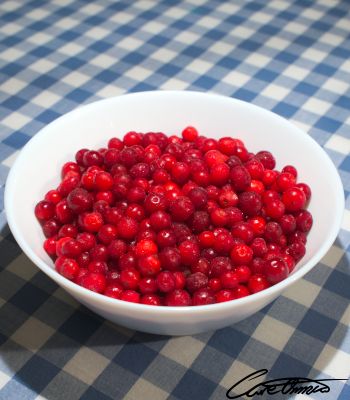 A bowl of frozen lingonberries