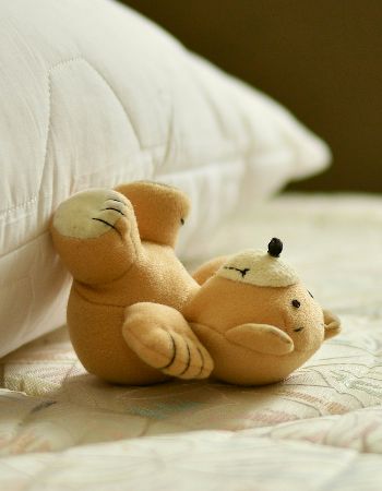 A small teddy bear resting in a bed against a pillow.