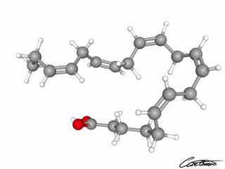 A three-dimensional representation of Heneicosapentaenoic acid (21:5)