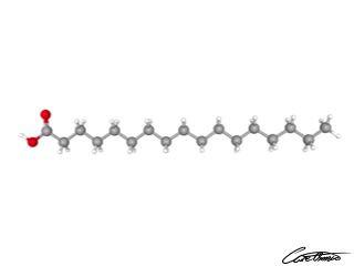 A three-dimensional representation of Heptadecanoic acid (17:0)