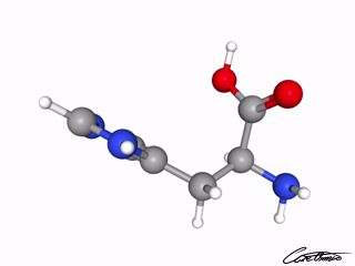 A three-dimensional representation of Histidine