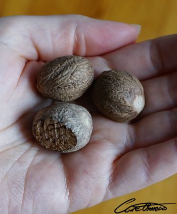 3 nutmeg in a palm