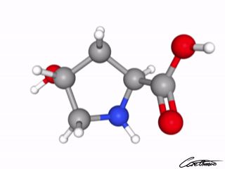 A three-dimensional representation of Hydroxyproline