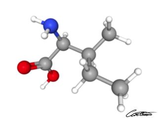 A three-dimensional representation of Isoleucine