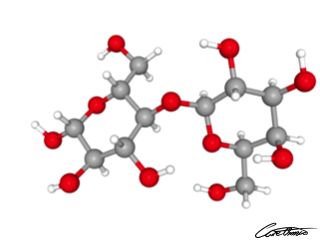 A three-dimensional representation of Lactose? Is It Good For Everyone