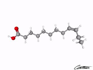 A three-dimensional representation of Lauroleic acid (12:1)