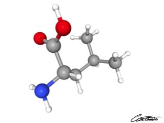 A three-dimensional representation of Leucine