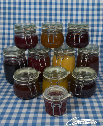 Care Omnia Lingonberry Jam Substitutes?