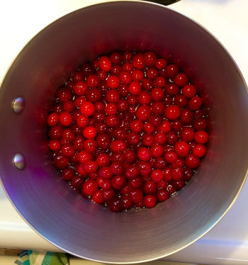 Care Omnia a batch of lingonberries in syrup