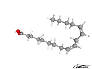 A three-dimensional representation of cis-Linoleic acid (18:2 n-6 c,c)