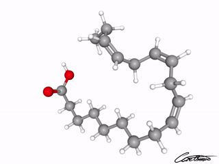 A three-dimensional representation of Linolenic acid (18:3)